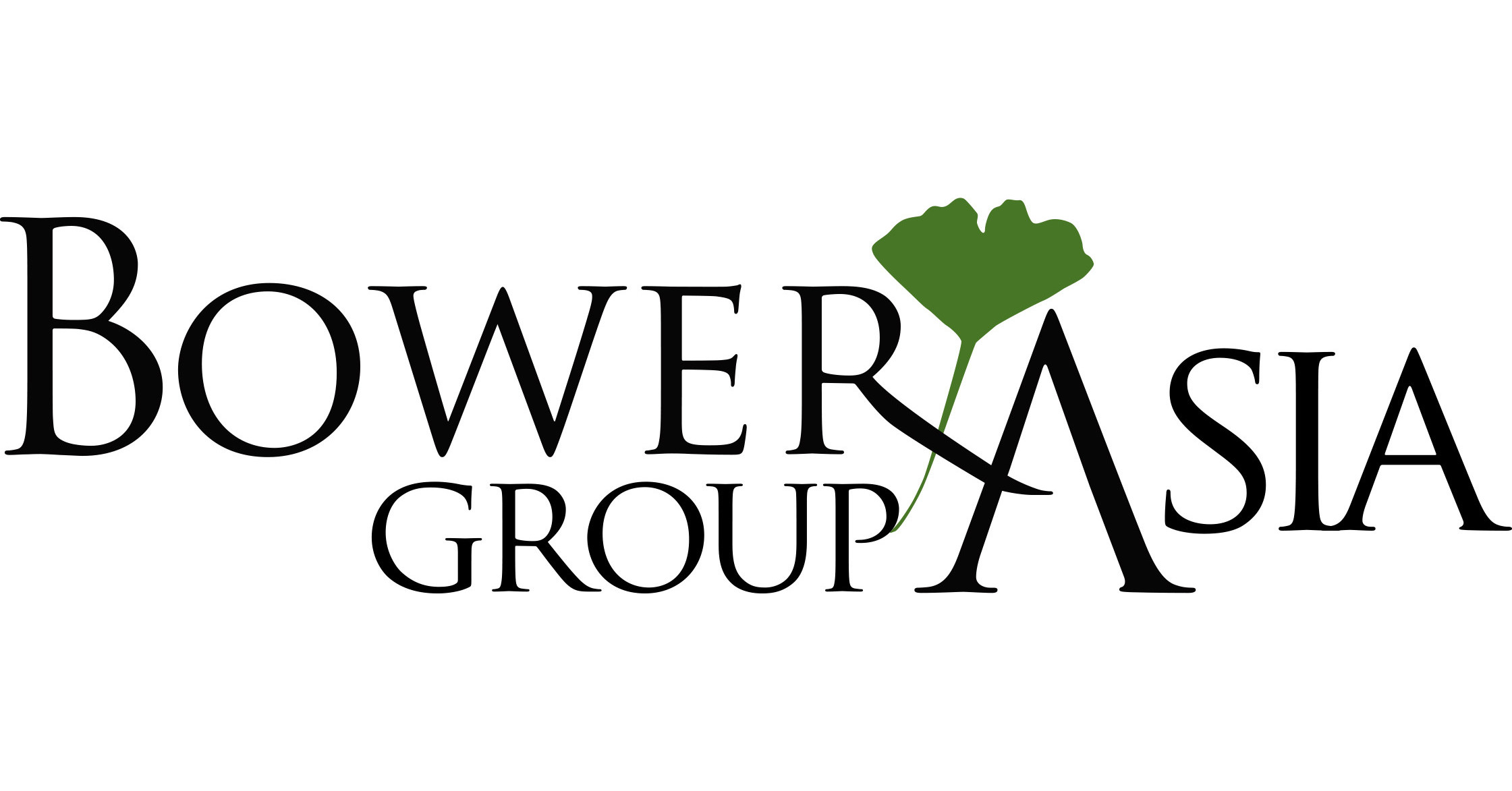 bower group asia logo
