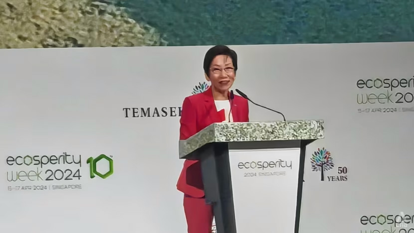 Minister-for-Sustainability-and-the-Environment-Grace-Fu