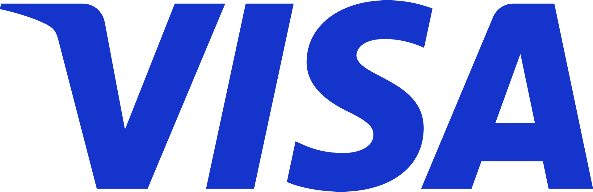 2024 visa logo