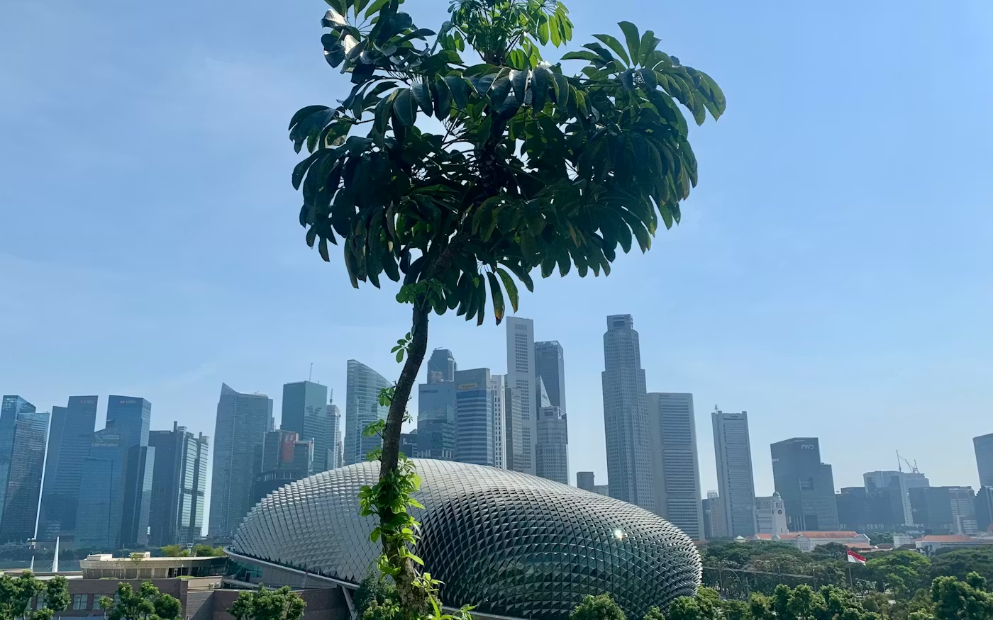 sg carbon registry