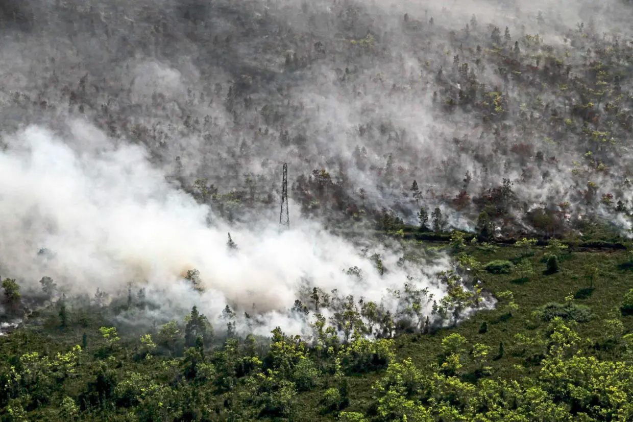 aug-2026-forest-fires-indonesia